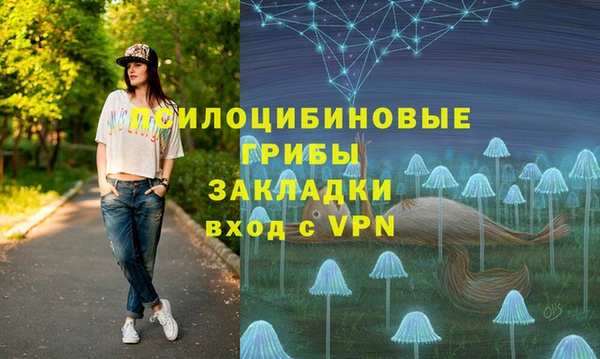 экстази Арсеньев
