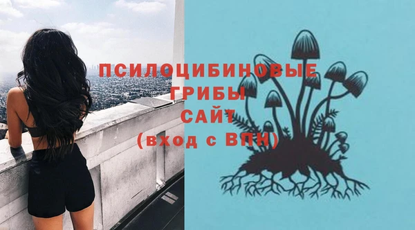 героин Алексин